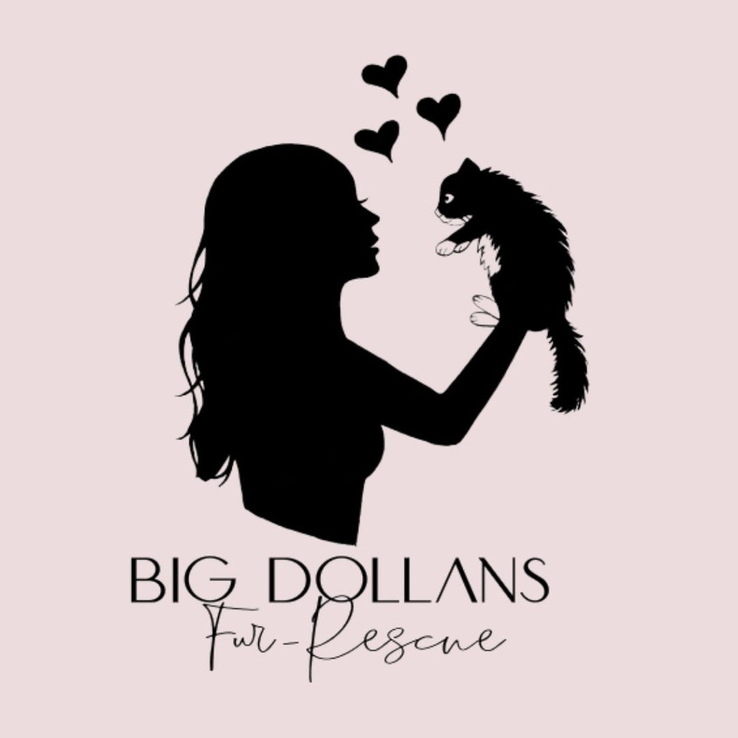 DONATION TO BIG DOLLAN'S FUR-RESCUE